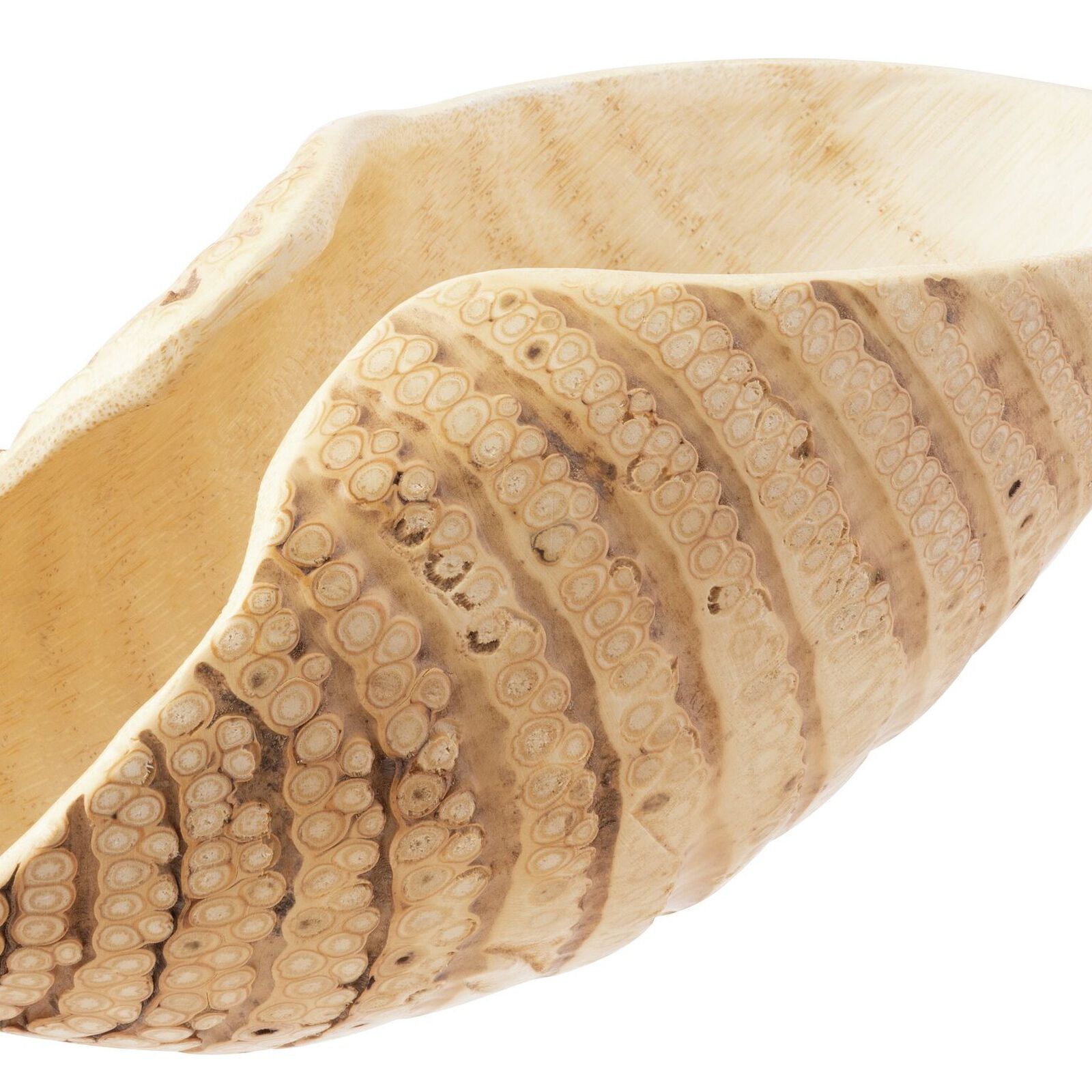 Showplate for sushi image number null