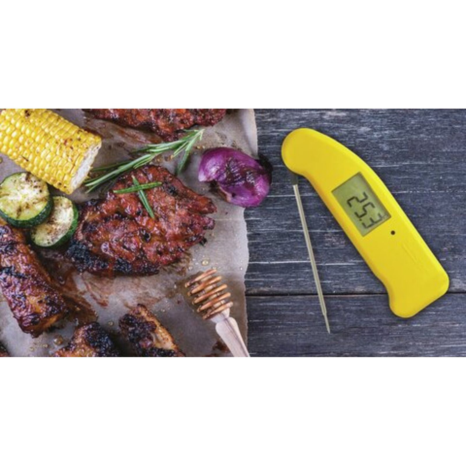 Thermometer digital image number null