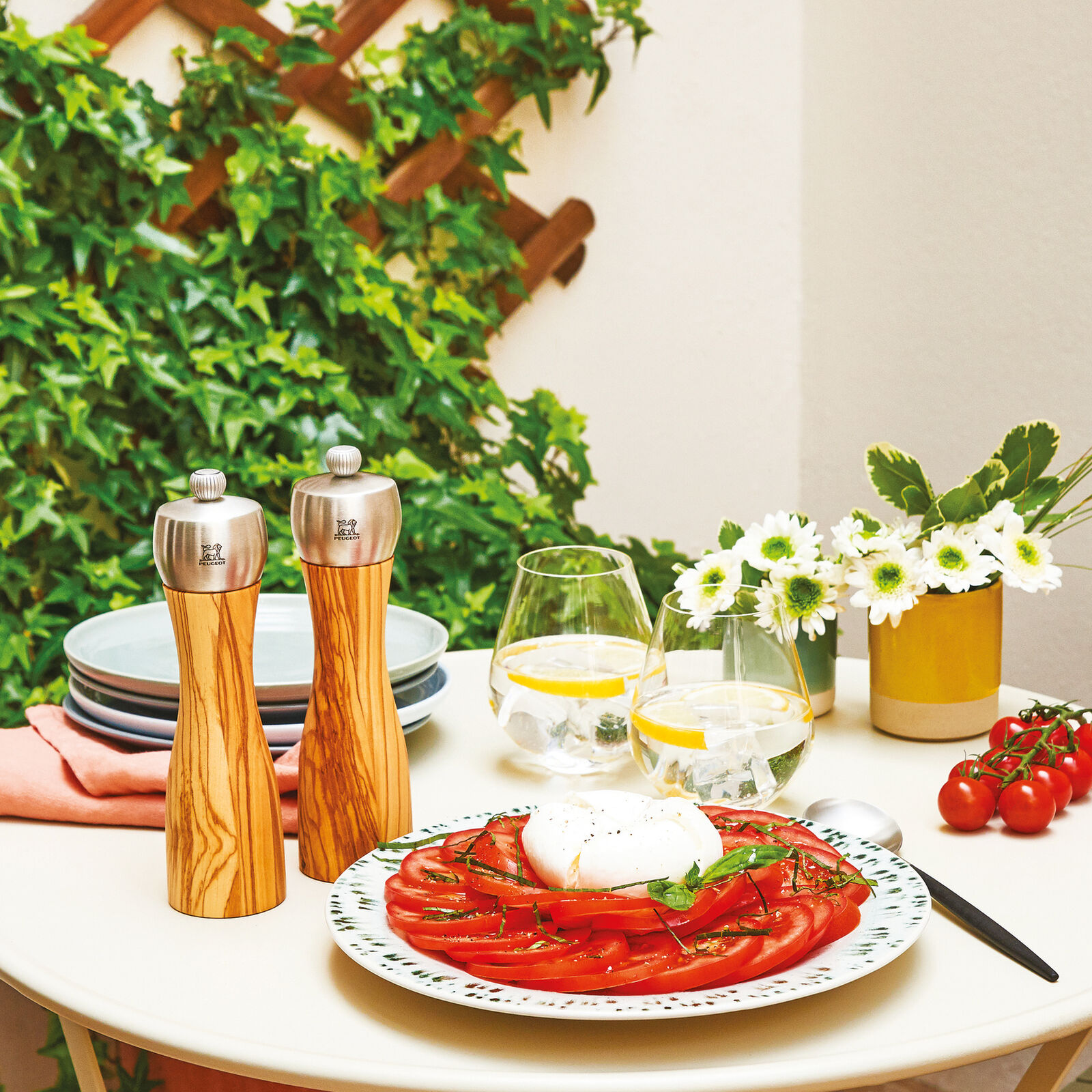 Salt mill  image number null