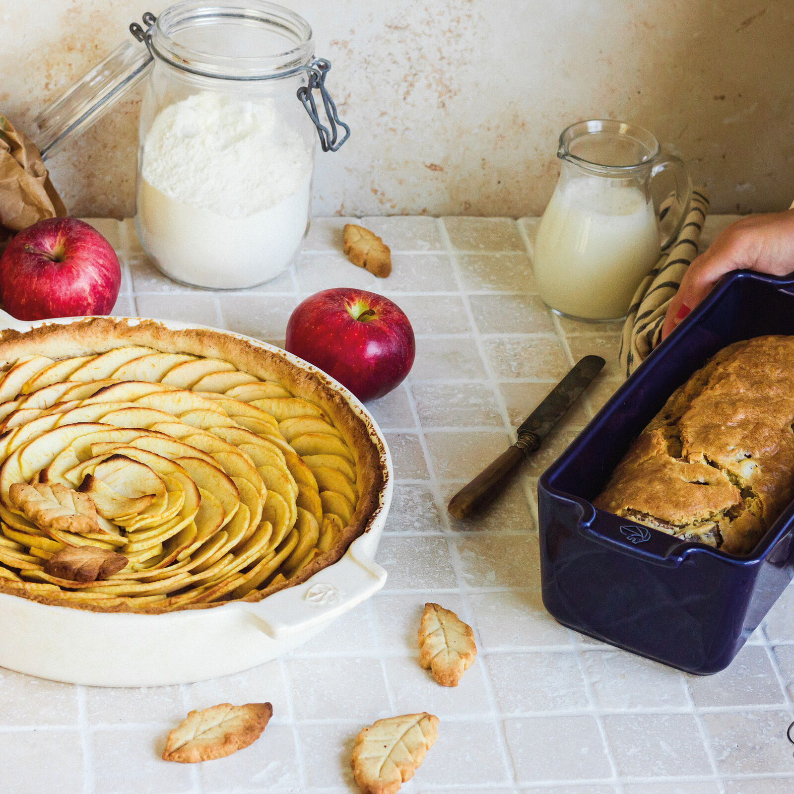 China dish  image number null