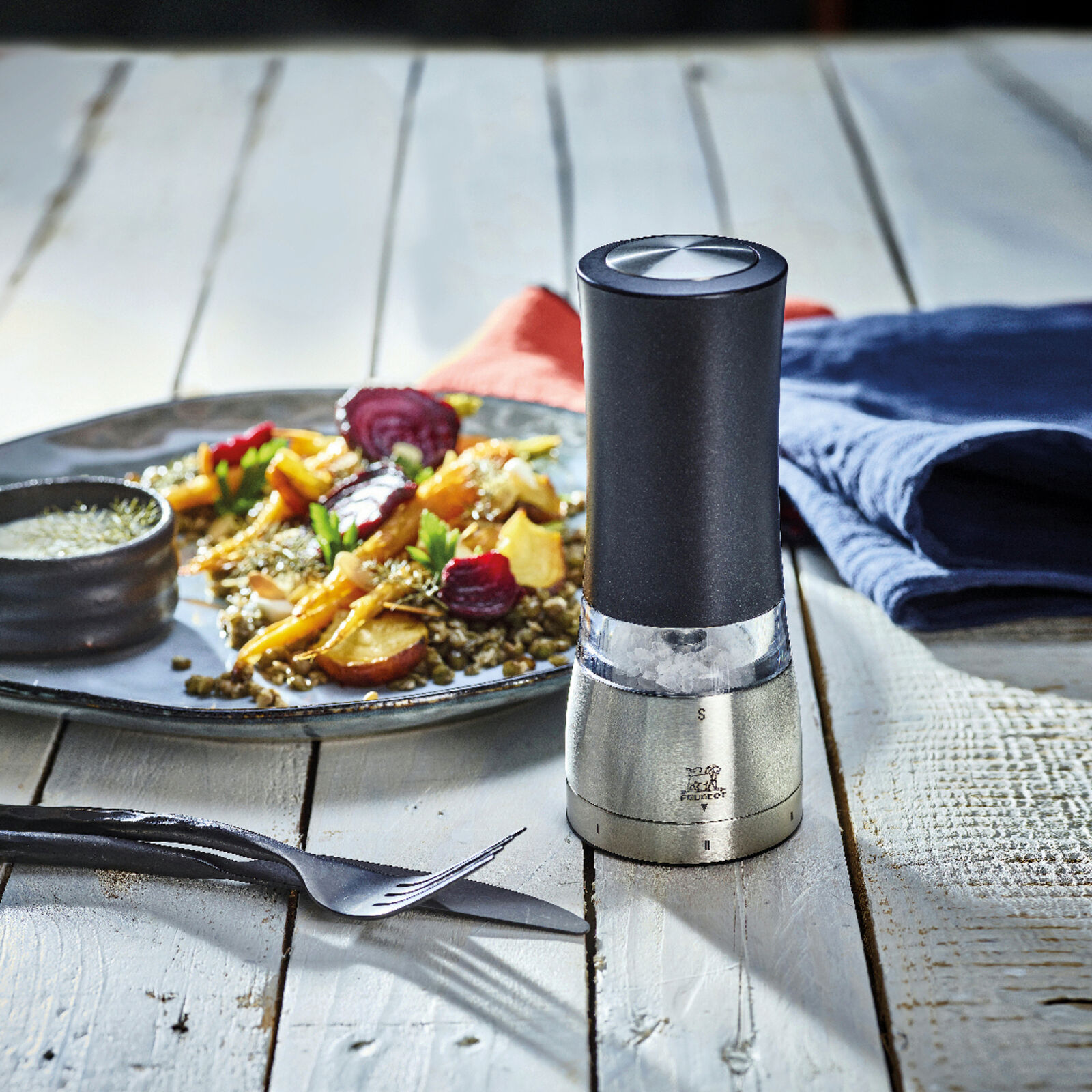 Salt mill electric image number null