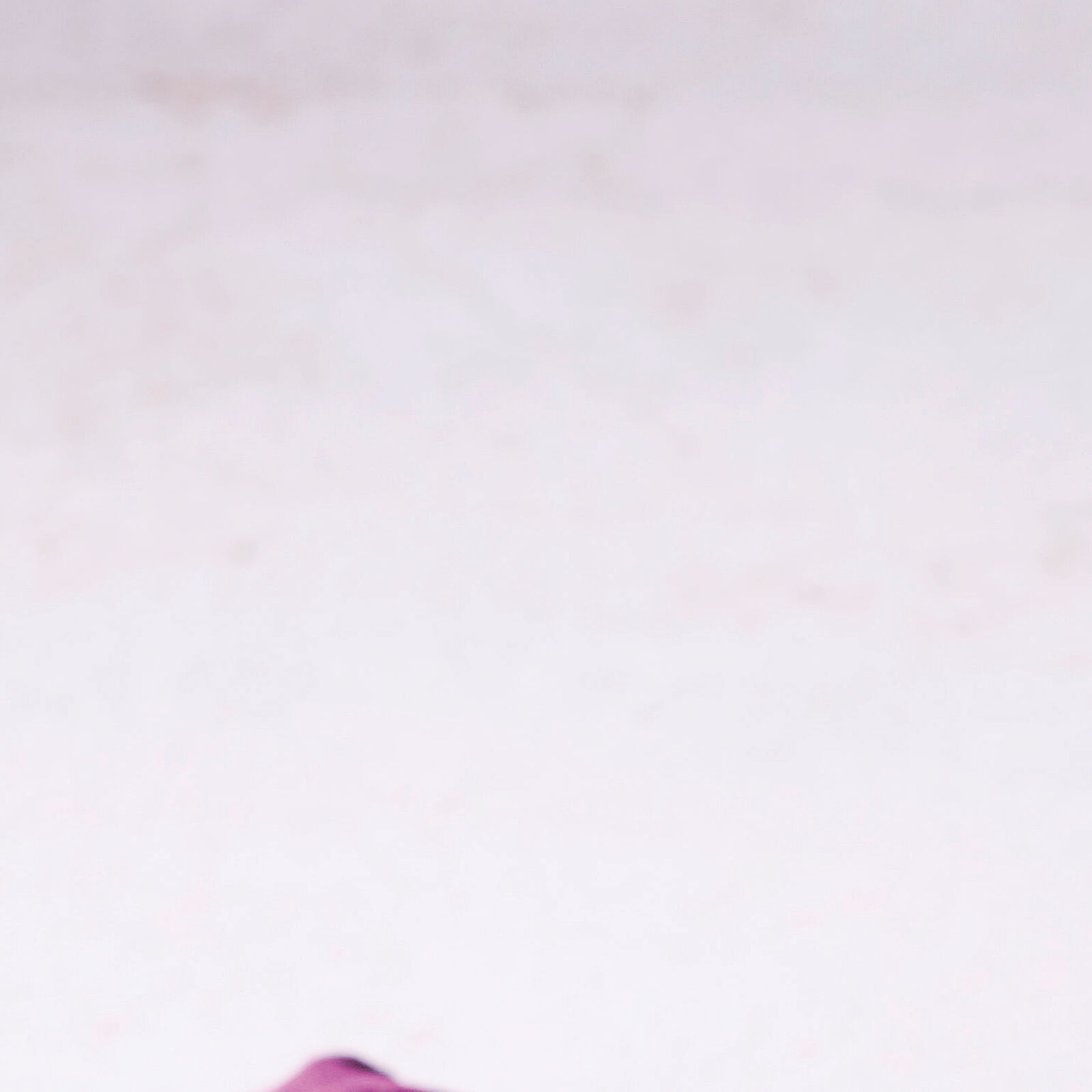 China dish  image number null